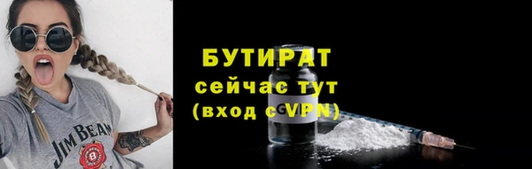 прущие грибы Надым