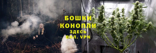 кокс Нея