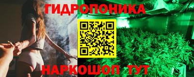 ALPHA PVP Бийск