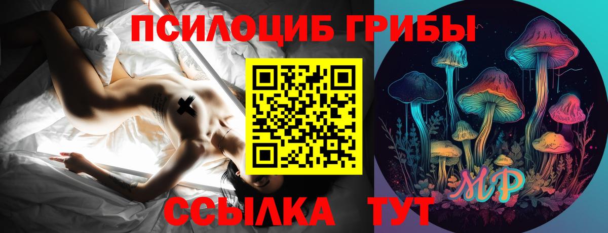 Псилоцибиновые грибы GOLDEN TEACHER Менделеевск