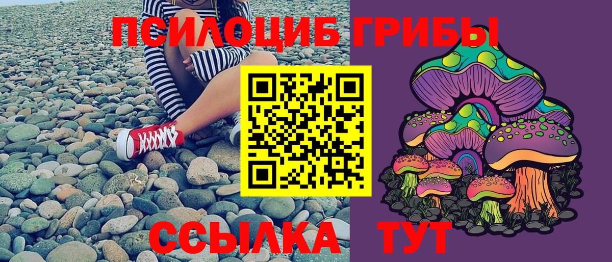 Галлюциногенные грибы прущие грибы  Менделеевск 