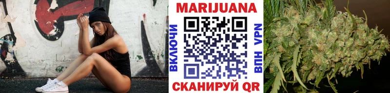 где можно купить наркотик  Менделеевск  Конопля SATIVA & INDICA 